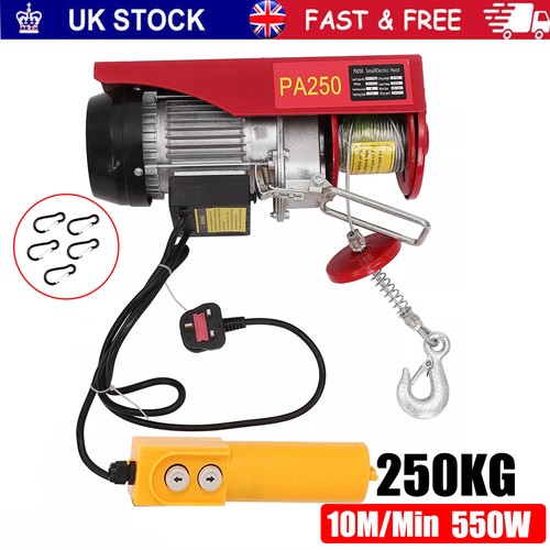 250kg electric winch scaffold - 250kg,